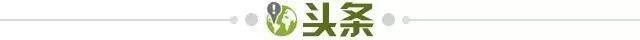 36cf97d1-4ca1-48b8-91ab-7abe750503e0.jpg@!img01
